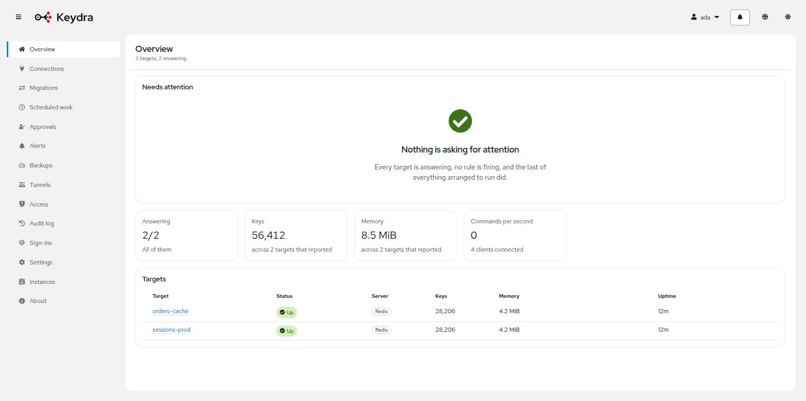 The Keydra overview, listing every target with its status, keys, memory and uptime