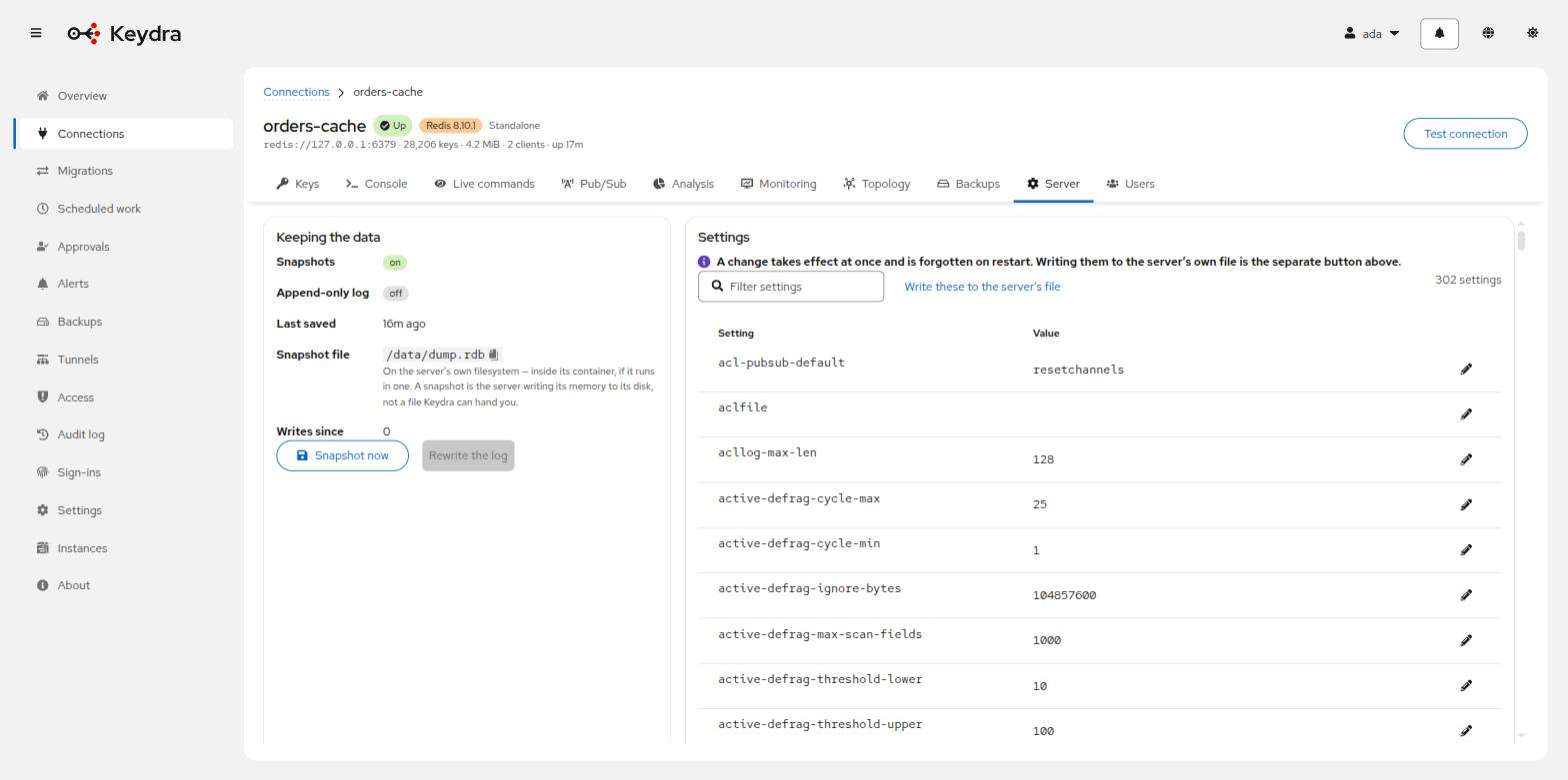 The Server tab, showing how the data is kept on the left and the server’s settings on the right
